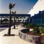 outside view of building with palm trees