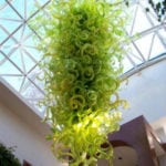 Hanging Plant in front of Truss and Windows