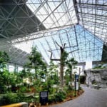 Plant display inside truss windowed room