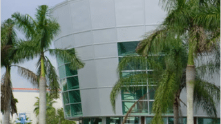 front of building with palm trees