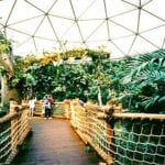 woodland park zoo
