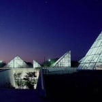 halsell conservatory